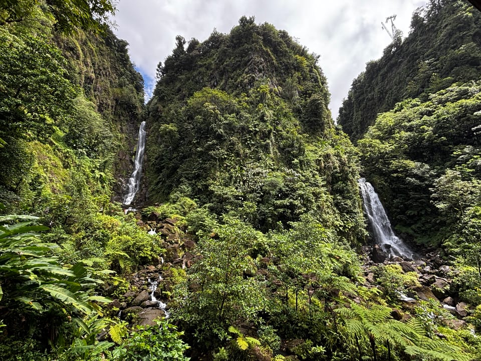 Dominica du 21/02 au 26/02